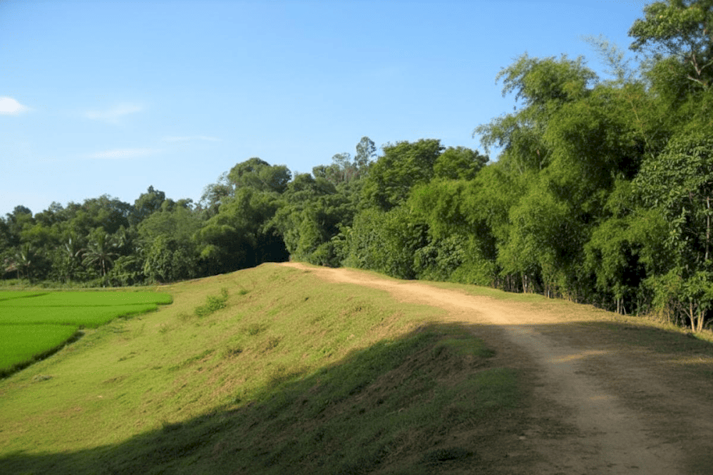 La thành tại Thành nhà Hồ có nhiệm vụ bảo vệ tòa thành, phòng chống lũ lụt